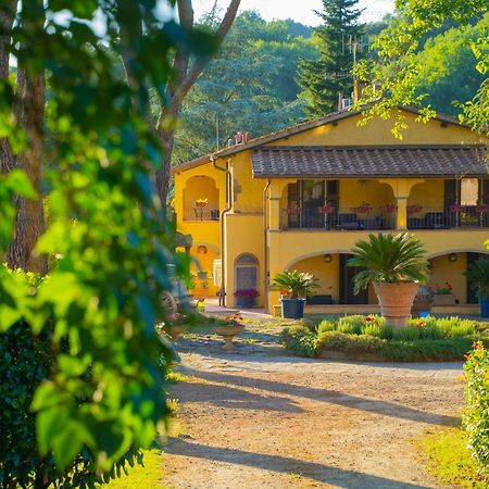 Villa Poggio Di Gaville Meleto Luaran gambar