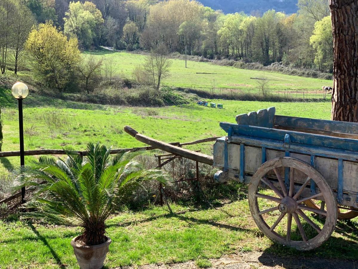 Villa Poggio Di Gaville Meleto Luaran gambar